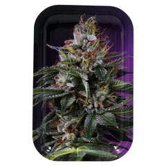 3D Tray w/ Mag Cover OG Kush