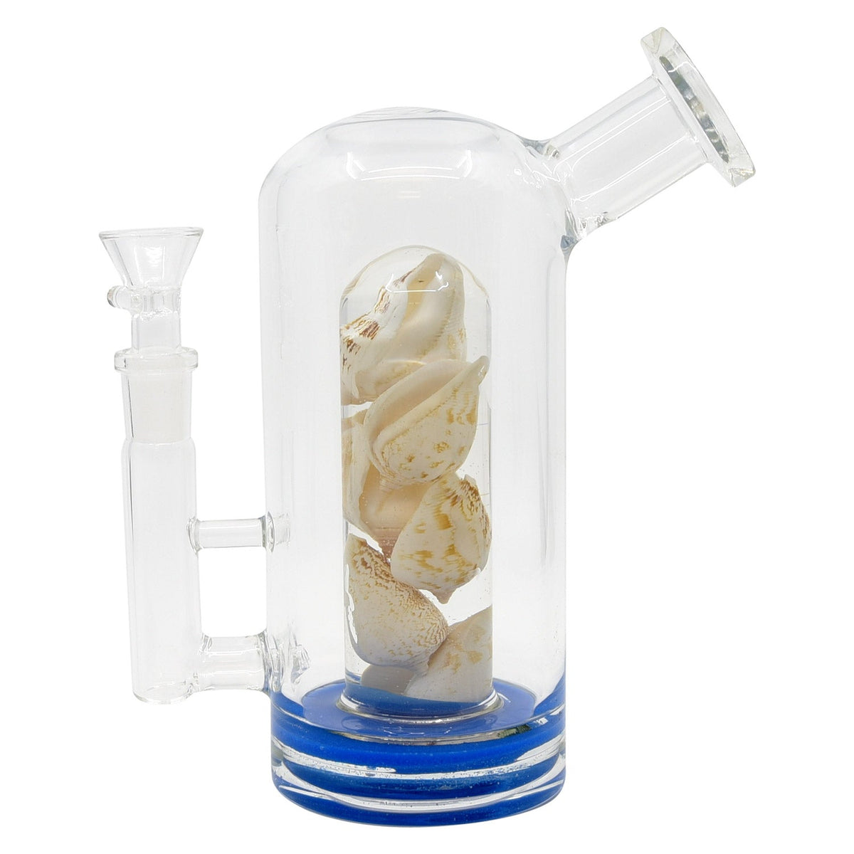 7.5" Sea Life Dome Pipe B06-05